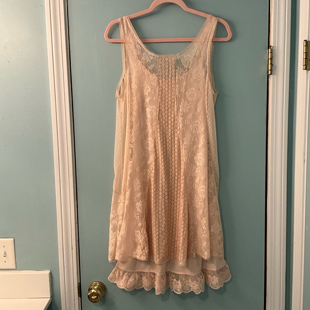 NWT Free People Loving Lace Trapeze Dress in pink frost